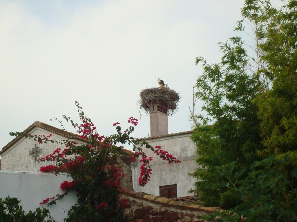 Casa Claudia - Pool And Wifi *